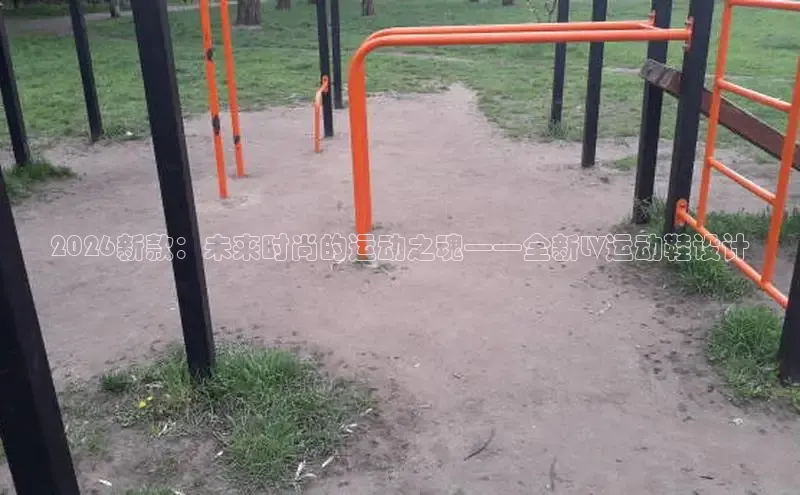 飞速体育直播