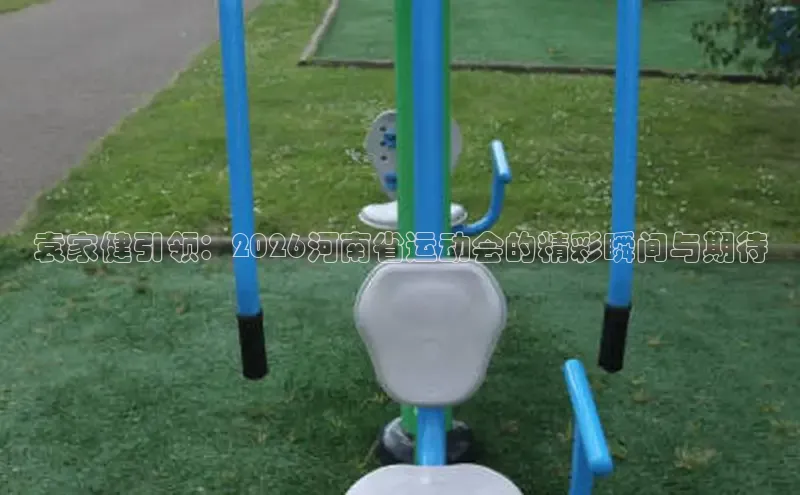 飞速直播体育nba无插件