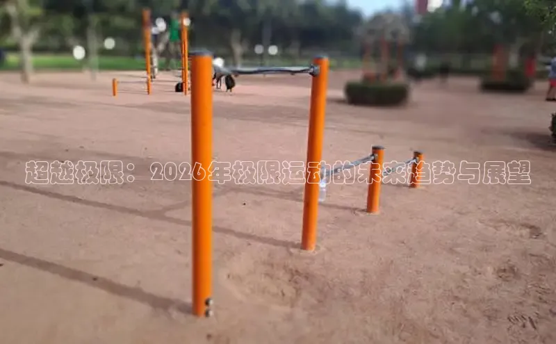 飞速直播体育